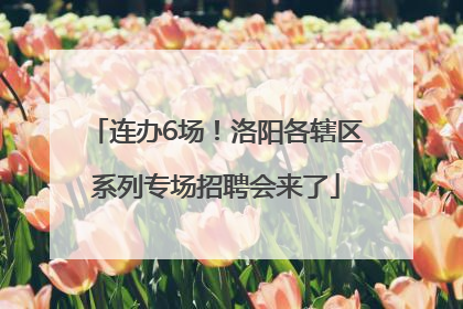 连办6场！洛阳各辖区系列专场招聘会来了