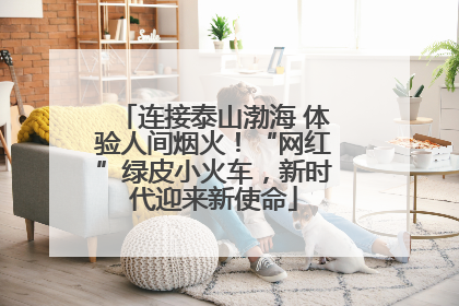 连接泰山渤海 体验人间烟火！“网红”绿皮小火车，新时代迎来新使命