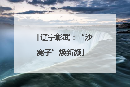 辽宁彰武：“沙窝子”焕新颜