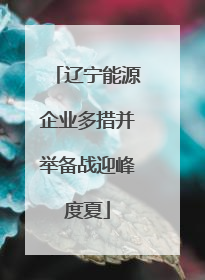 辽宁能源企业多措并举备战迎峰度夏