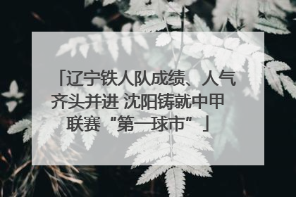 辽宁铁人队成绩、人气齐头并进 沈阳铸就中甲联赛“第一球市”