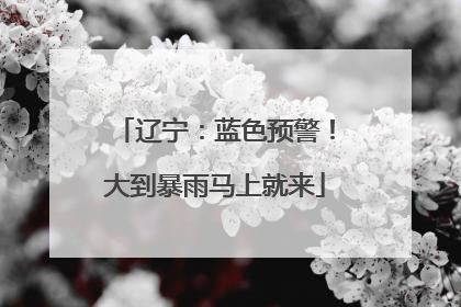 辽宁：蓝色预警！大到暴雨马上就来