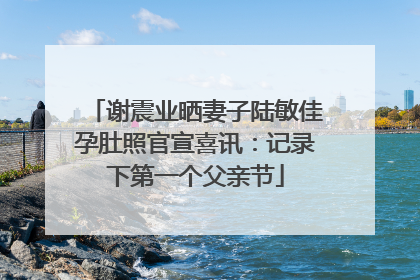 谢震业晒妻子陆敏佳孕肚照官宣喜讯：记录下第一个父亲节