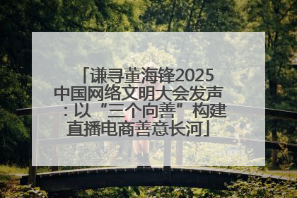 谦寻董海锋2025中国网络文明大会发声：以“三个向善”构建直播电商善意长河