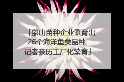 象山苗种企业繁育出26个海洋鱼类品种 记者亲历工厂化繁育
