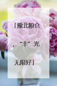 豫北粮仓，“丰”光无限好