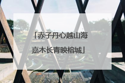 赤子丹心越山海 嘉木长青映榕城