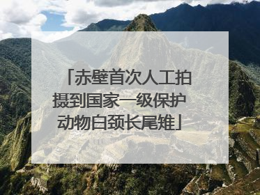 赤壁首次人工拍摄到国家一级保护动物白颈长尾雉