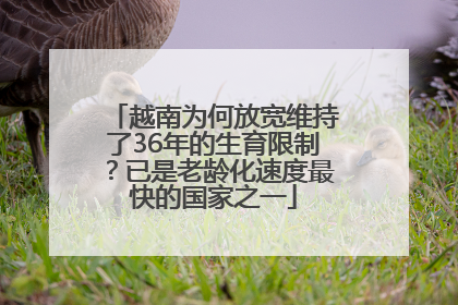 越南为何放宽维持了36年的生育限制？已是老龄化速度最快的国家之一