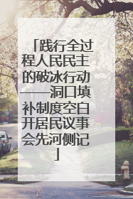 践行全过程人民民主的破冰行动——洞口填补制度空白开居民议事会先河侧记
