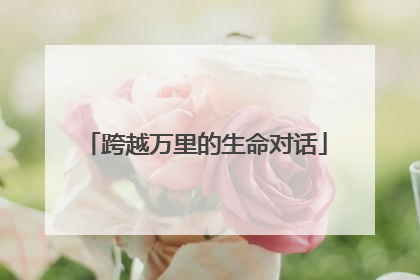 跨越万里的生命对话
