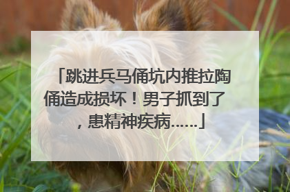 跳进兵马俑坑内推拉陶俑造成损坏！男子抓到了，患精神疾病……