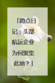 蹲点日记：头部航运企业为何聚集此地？
