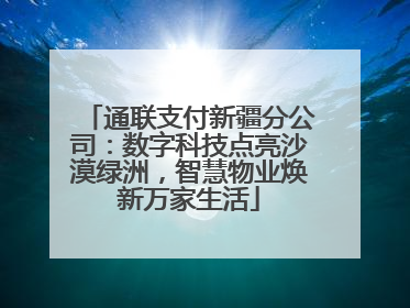 通联支付新疆分公司：数字科技点亮沙漠绿洲，智慧物业焕新万家生活