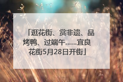逛花街、赏非遗、品烤鸭、过端午……宜良花街5月28日开街