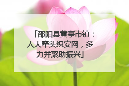 邵阳县黄亭市镇：人大牵头织安网，多力并聚助振兴