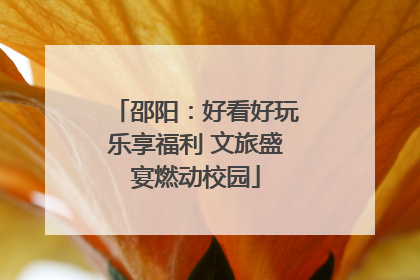 邵阳：好看好玩乐享福利 文旅盛宴燃动校园