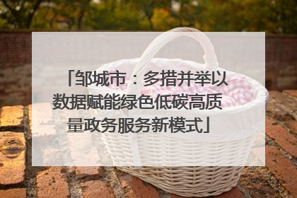 邹城市：多措并举以数据赋能绿色低碳高质量政务服务新模式