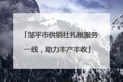 邹平市供销社扎根服务一线，助力丰产丰收