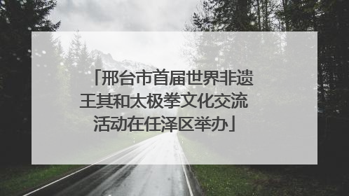 邢台市首届世界非遗王其和太极拳文化交流活动在任泽区举办