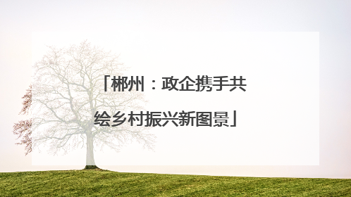郴州：政企携手共绘乡村振兴新图景