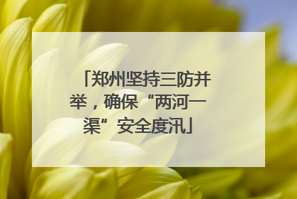 郑州坚持三防并举，确保“两河一渠”安全度汛