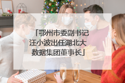 鄂州市委副书记汪小波出任湖北大数据集团董事长