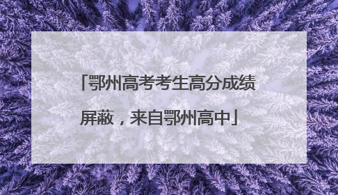 鄂州高考考生高分成绩屏蔽，来自鄂州高中