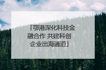 鄂港深化科技金融合作 共建科创企业出海通道