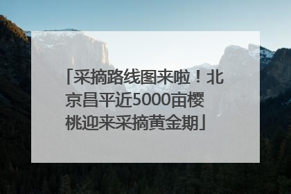 采摘路线图来啦！北京昌平近5000亩樱桃迎来采摘黄金期