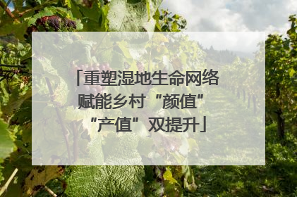 重塑湿地生命网络 赋能乡村“颜值”“产值”双提升
