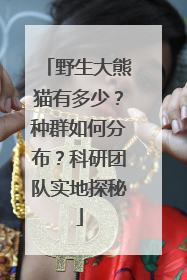 野生大熊猫有多少？种群如何分布？科研团队实地探秘