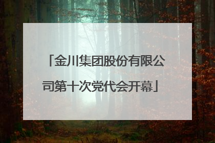 金川集团股份有限公司第十次党代会开幕