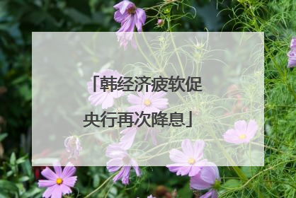 韩经济疲软促央行再次降息