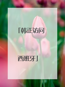 韩正访问西班牙