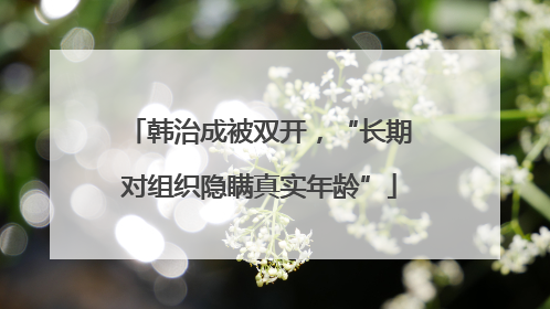 韩治成被双开，“长期对组织隐瞒真实年龄”
