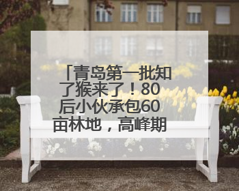 青岛第一批知了猴来了！80后小伙承包60亩林地，高峰期日入过万
