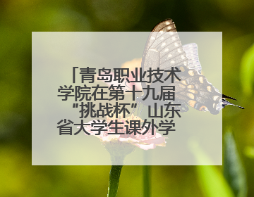 青岛职业技术学院在第十九届“挑战杯”山东省大学生课外学术科技作品竞赛中斩获佳绩