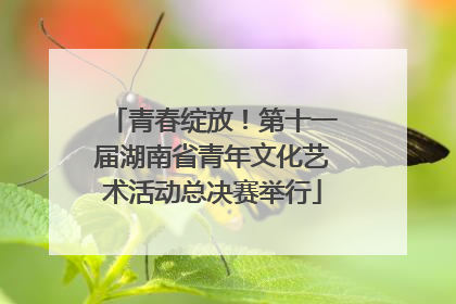青春绽放！第十一届湖南省青年文化艺术活动总决赛举行