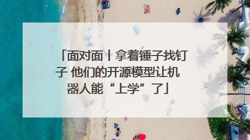 面对面丨拿着锤子找钉子 他们的开源模型让机器人能“上学”了