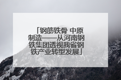 钢筋铁骨 中原制造——从河南钢铁集团透视我省钢铁产业转型发展