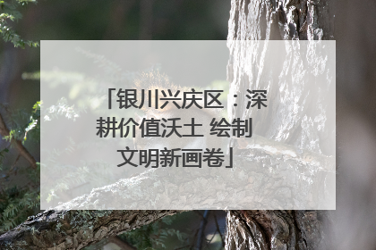 银川兴庆区：深耕价值沃土 绘制文明新画卷