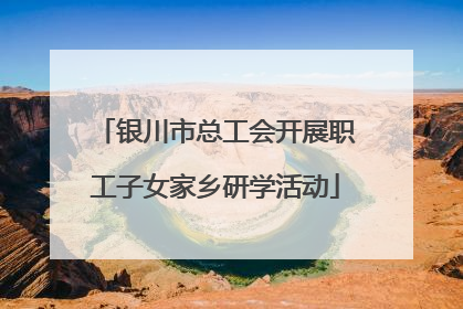 银川市总工会开展职工子女家乡研学活动