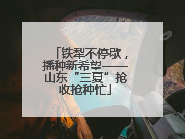 铁犁不停歇，播种新希望——山东“三夏”抢收抢种忙