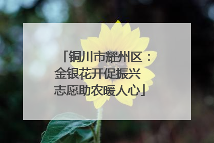 铜川市耀州区：金银花开促振兴 志愿助农暖人心