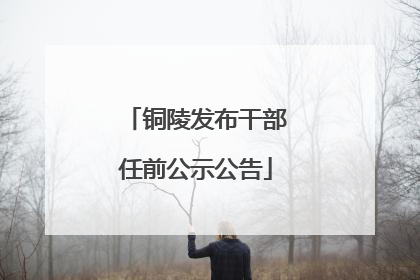 铜陵发布干部任前公示公告