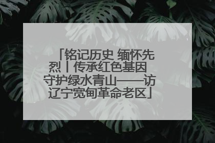 铭记历史 缅怀先烈丨传承红色基因 守护绿水青山——访辽宁宽甸革命老区