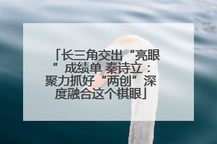 长三角交出“亮眼”成绩单 秦诗立：聚力抓好“两创”深度融合这个棋眼