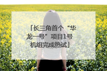 长三角首个“华龙一号”项目1号机组完成热试