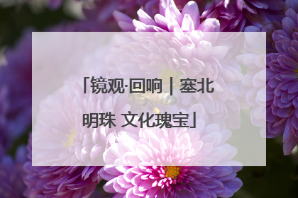 镜观·回响｜塞北明珠 文化瑰宝